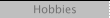 Hobbies